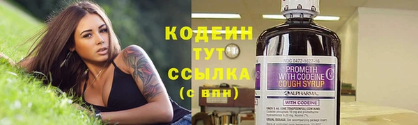 крисы Верея