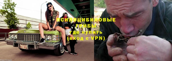 крисы Верея