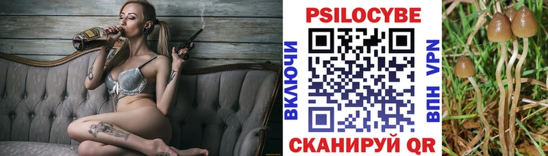 наркошоп  Саранск  KRAKEN как зайти  Галлюциногенные грибы Magic Shrooms 